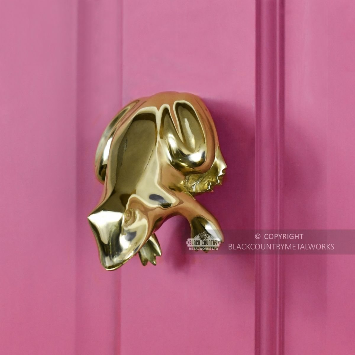 Pink Door With Frog Door Knocker Installed
