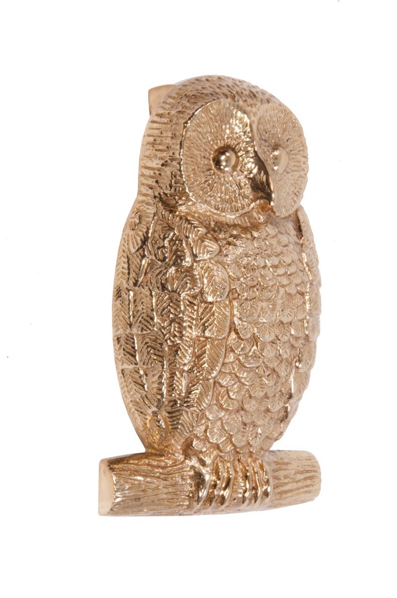 Polished Brass Owl Door Knocker Polished Brass Owl Door Knocker