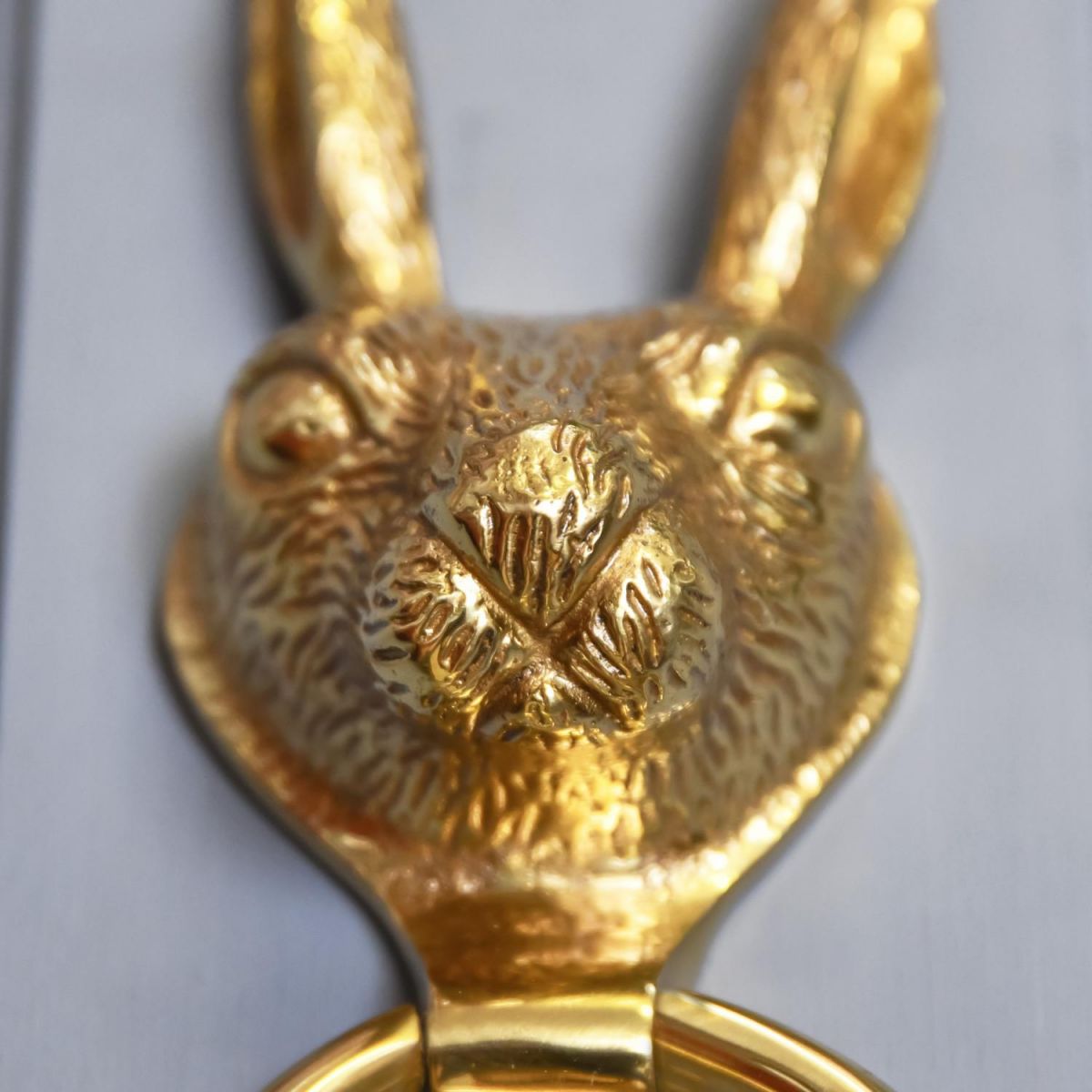 Close-Up of Rabbit Face & Circular Knocker 