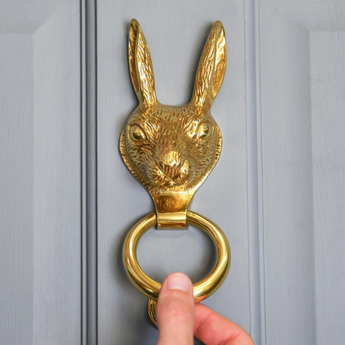 Scale Shot of Polished Brass Rabbit Door Knocker 
