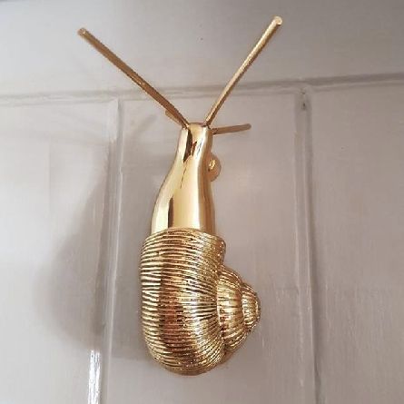 Polished Brass snail door knocker mounted on white door