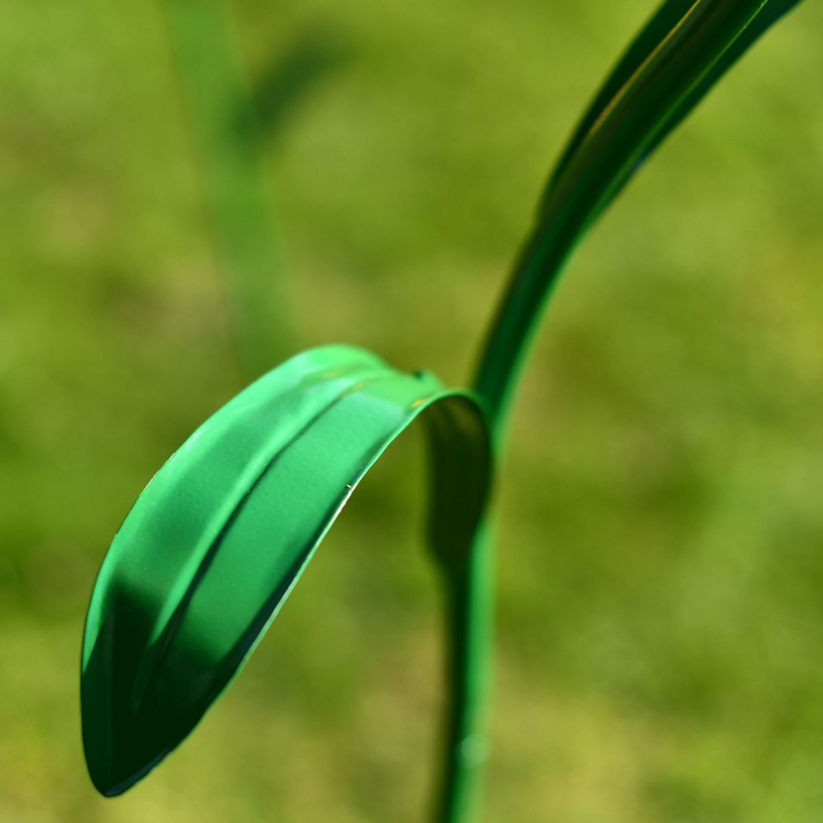 Close-up of the Stem of the Poppy Ornament