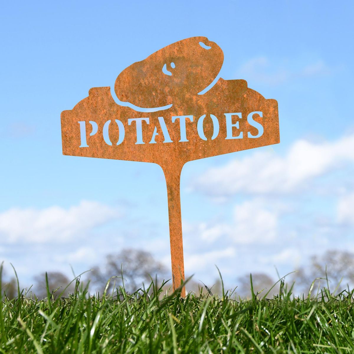 "Peppers" Vegetable Label in Situ