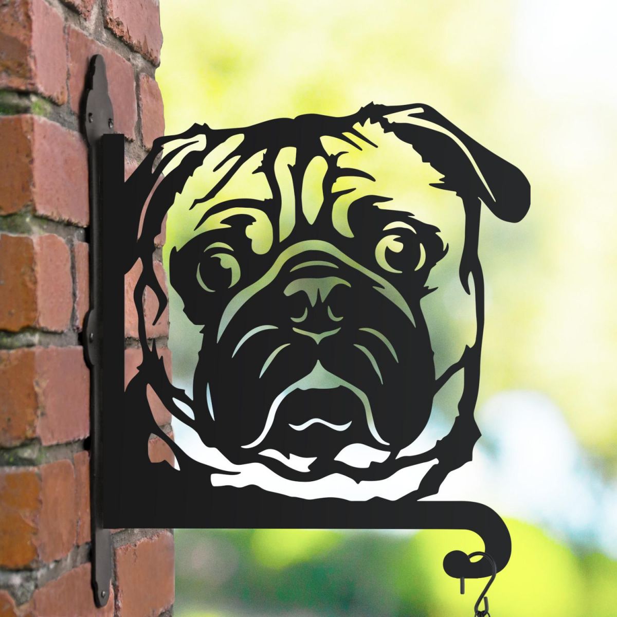 Pug hanging basket bracket on a summers day