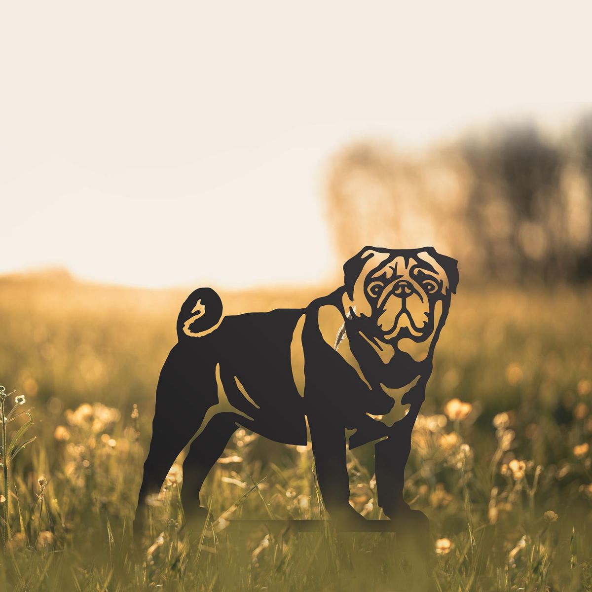 Pug Silhouette in Situ in a Field