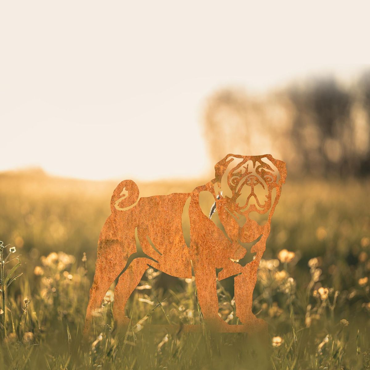 Pug Silhouette in Situ in a Field Pug Silhouette in Situ in a Field