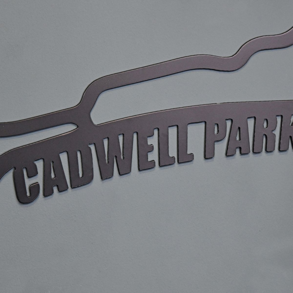 Cadwell Park Race Track Wall Art Close-Up