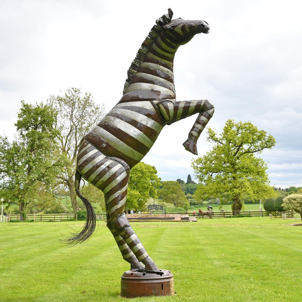 Rearing Metal Zebra Sculpture in Situ
