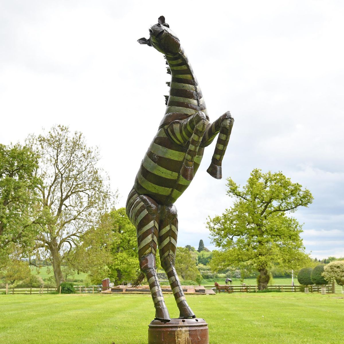 Rearing Metal Zebra Sculpture in Situ in the Garden