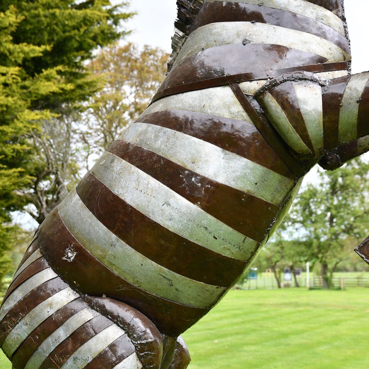 Close-up of the Metal Finish on the Rearing Zebra Sculpture