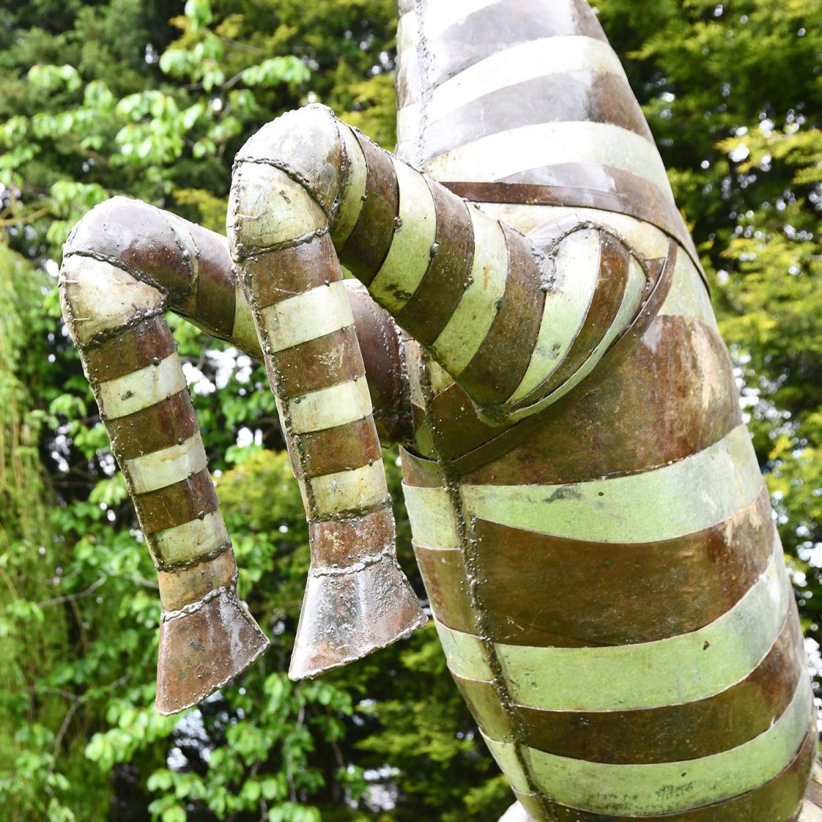 Close up of the Legs on the Rearing Metal Zebra Sculpture 
