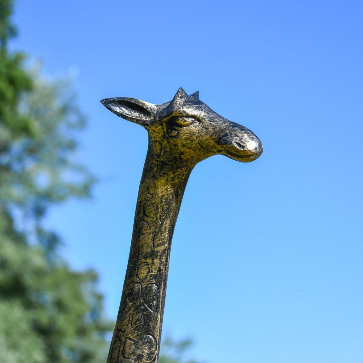 Close-Up of Giraffe Head
