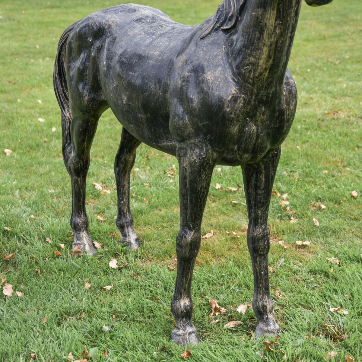 Close-Up of Brushed Gold Finish Close-Up of Brushed Gold Finish