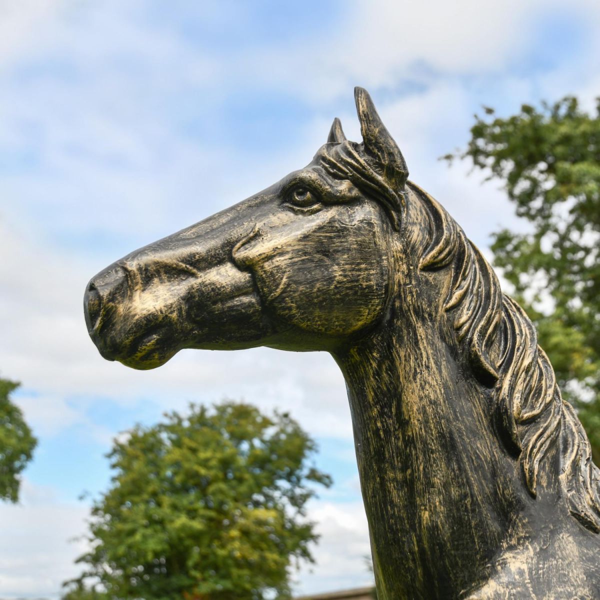 Close-Up of "Goldado" Horse Head Close-Up of "Goldado" Horse Head