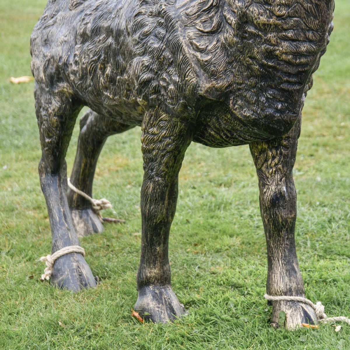 Close-Up of Golden Ram"s Hooves Close-Up of Golden Ram"s Hooves