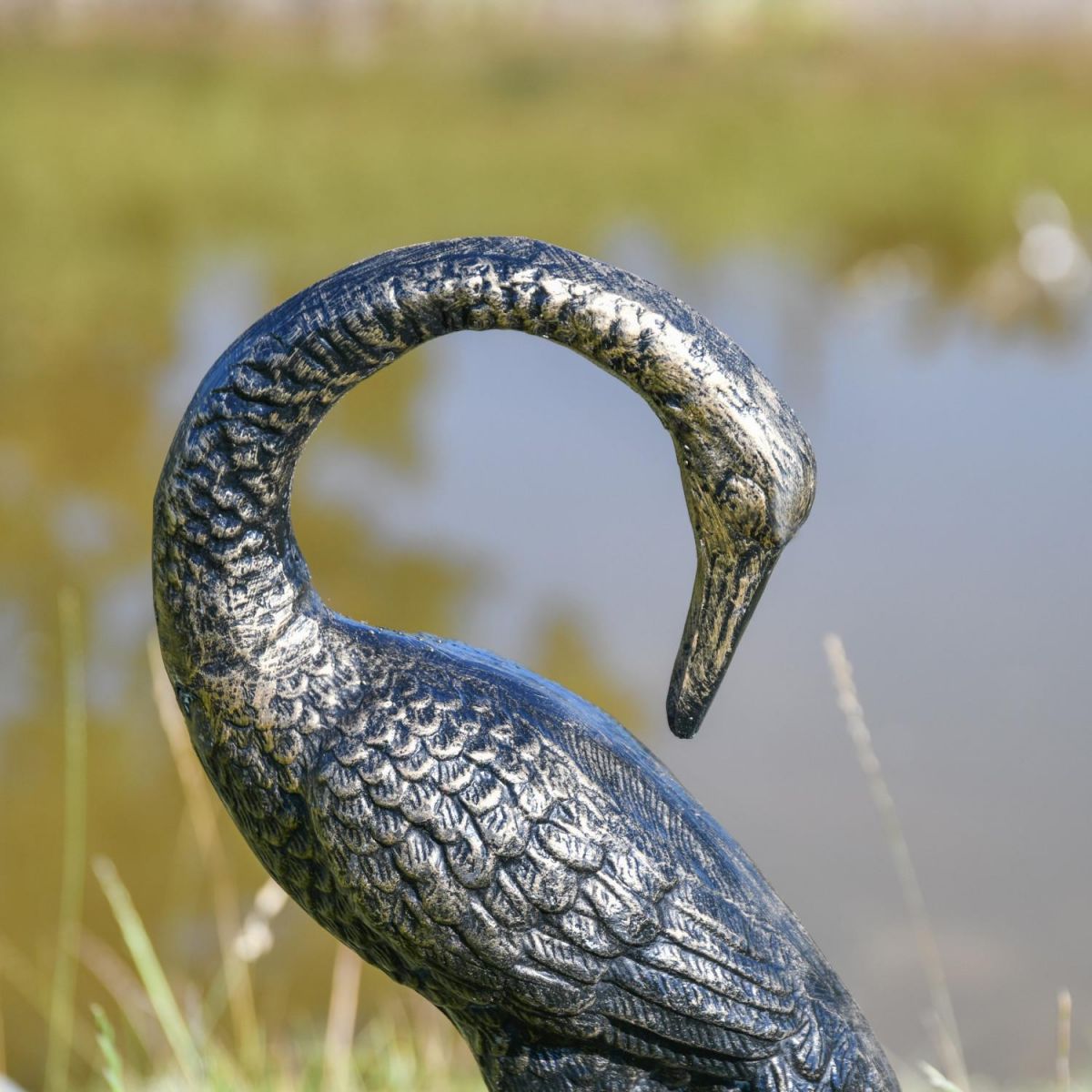 Close-Up of Curved Neck