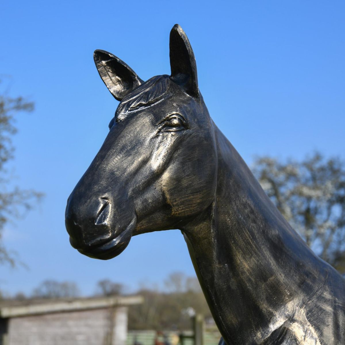Close-Up of Horse Head on Recycled Cast Aluminium Brushed Gold Roached Horse Sculpture  Close-Up of Horse Head on Recycled Cast Aluminium Brushed Gold Roached Horse Sculpture