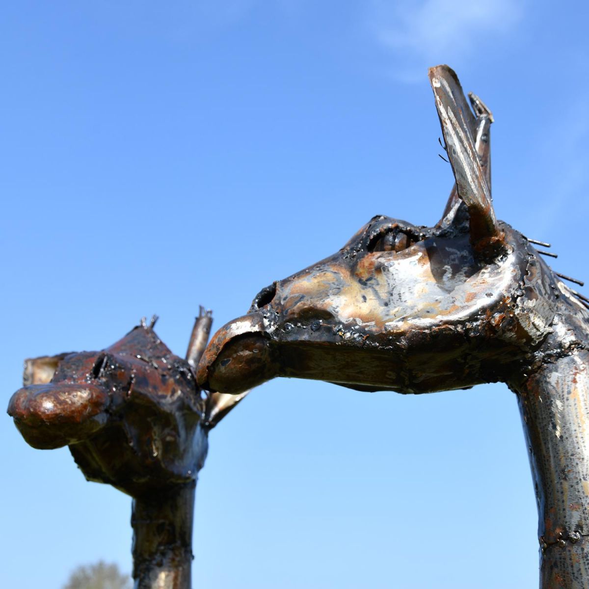 Close-up of the Heads of the Recycled Metal Twin Giraffe Sculpture