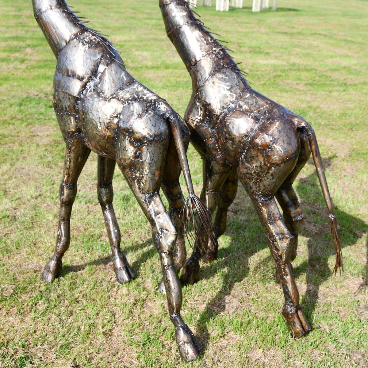 Close-up of the Legs of the Giraffes