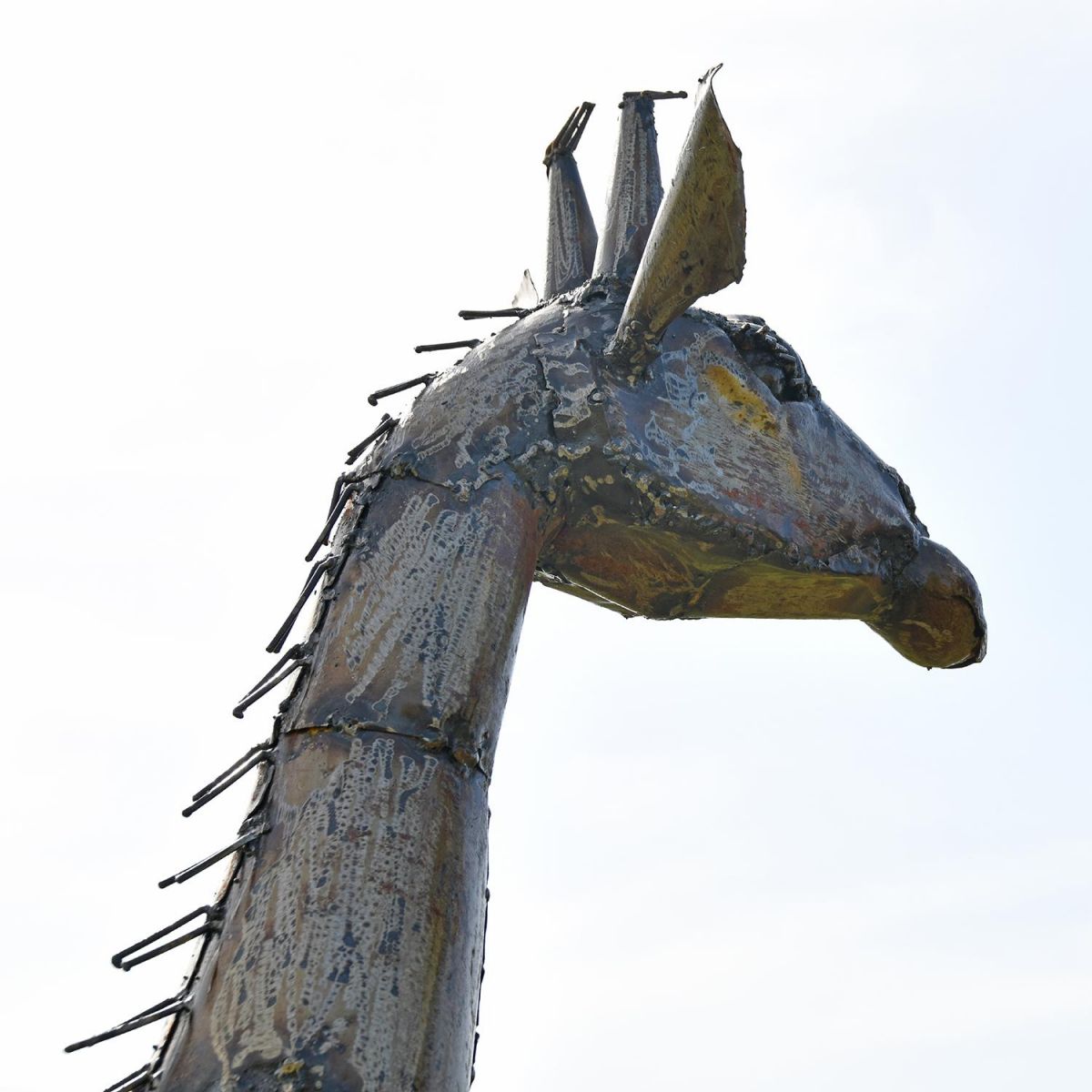 close-up of the Neck of the Recycled Metal Twin Giraffe Sculpture