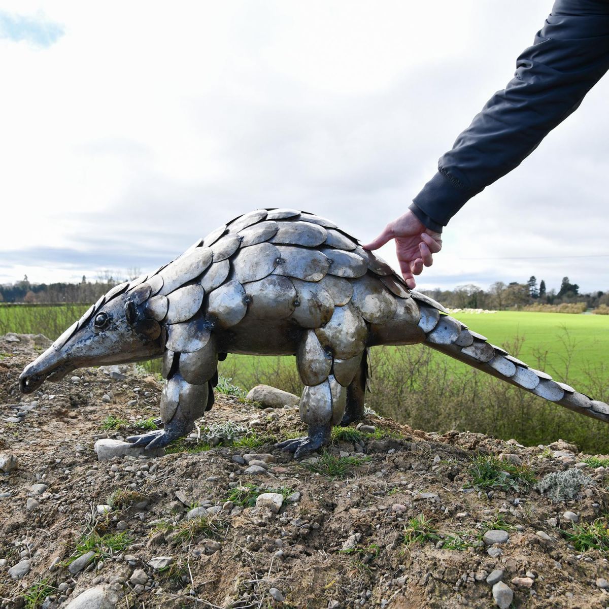 Recycled Metal Pangolin Sculpture to Scale