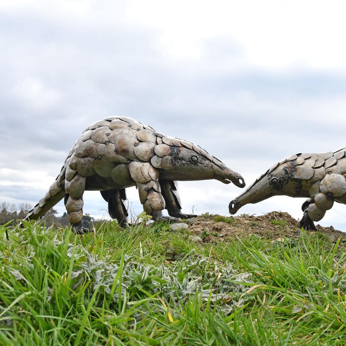 Recycled Metal Pangolin Sculpture in Situ in the Garden