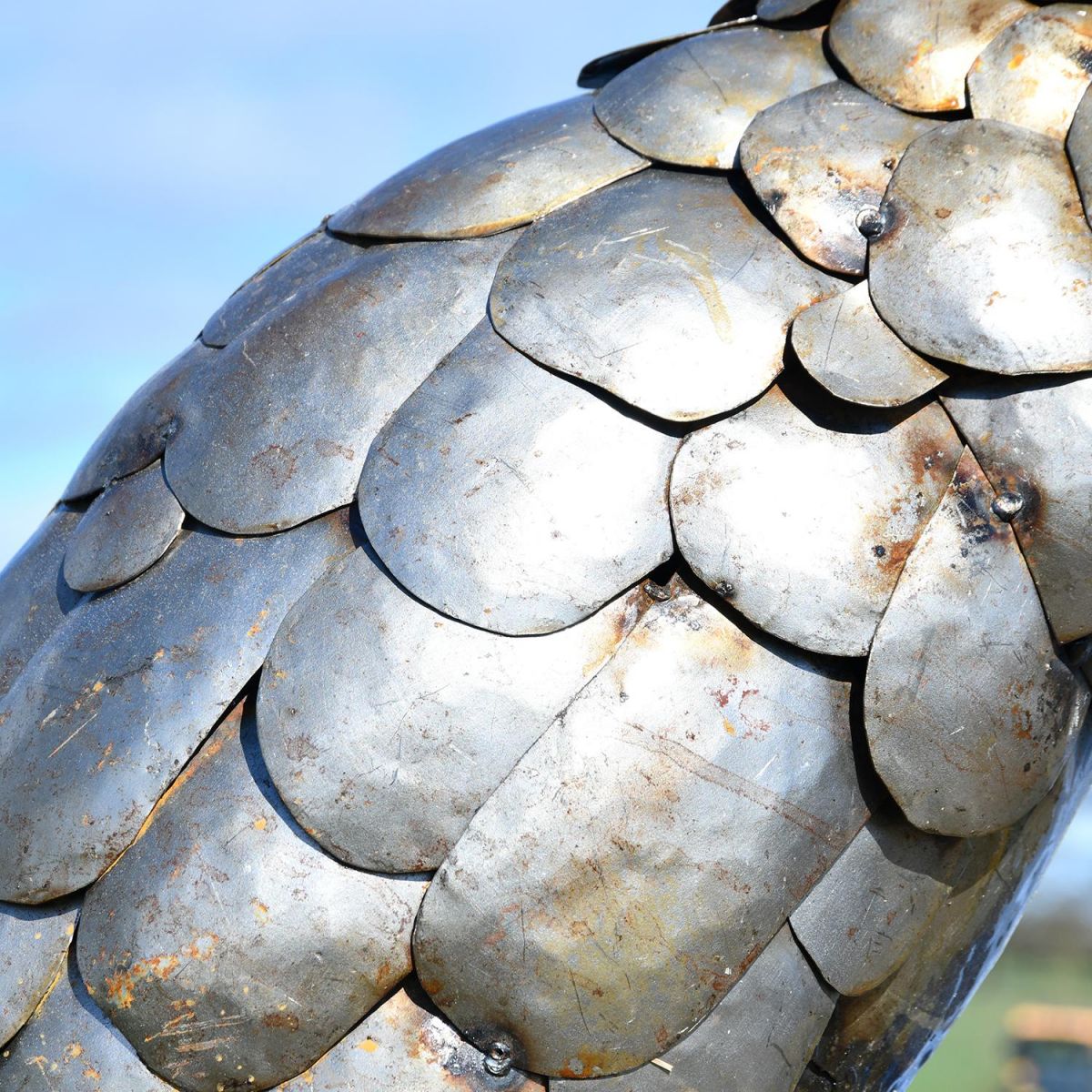 Close-up of the Detail on the Back of the Pangolin