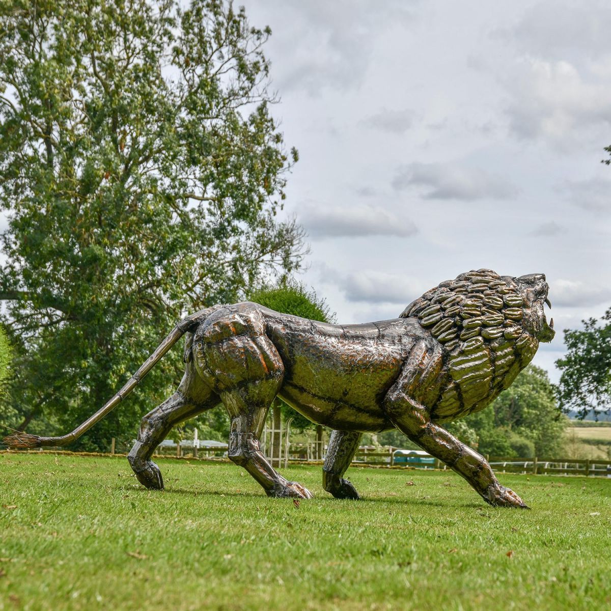 Recycled Metal Roaring Lion Sculpture on Display in the Garden
