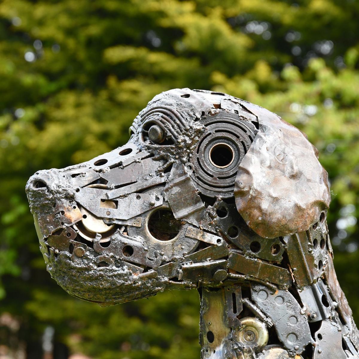 Close-up of the Face of the Metal Dog Sculpture