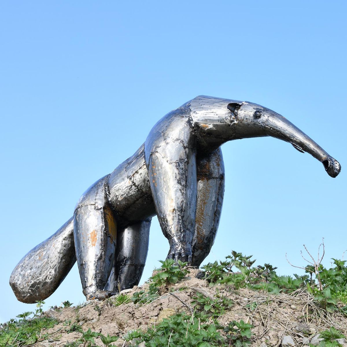 Recycled Steel Anteater Sculpture in Situ in the garden
