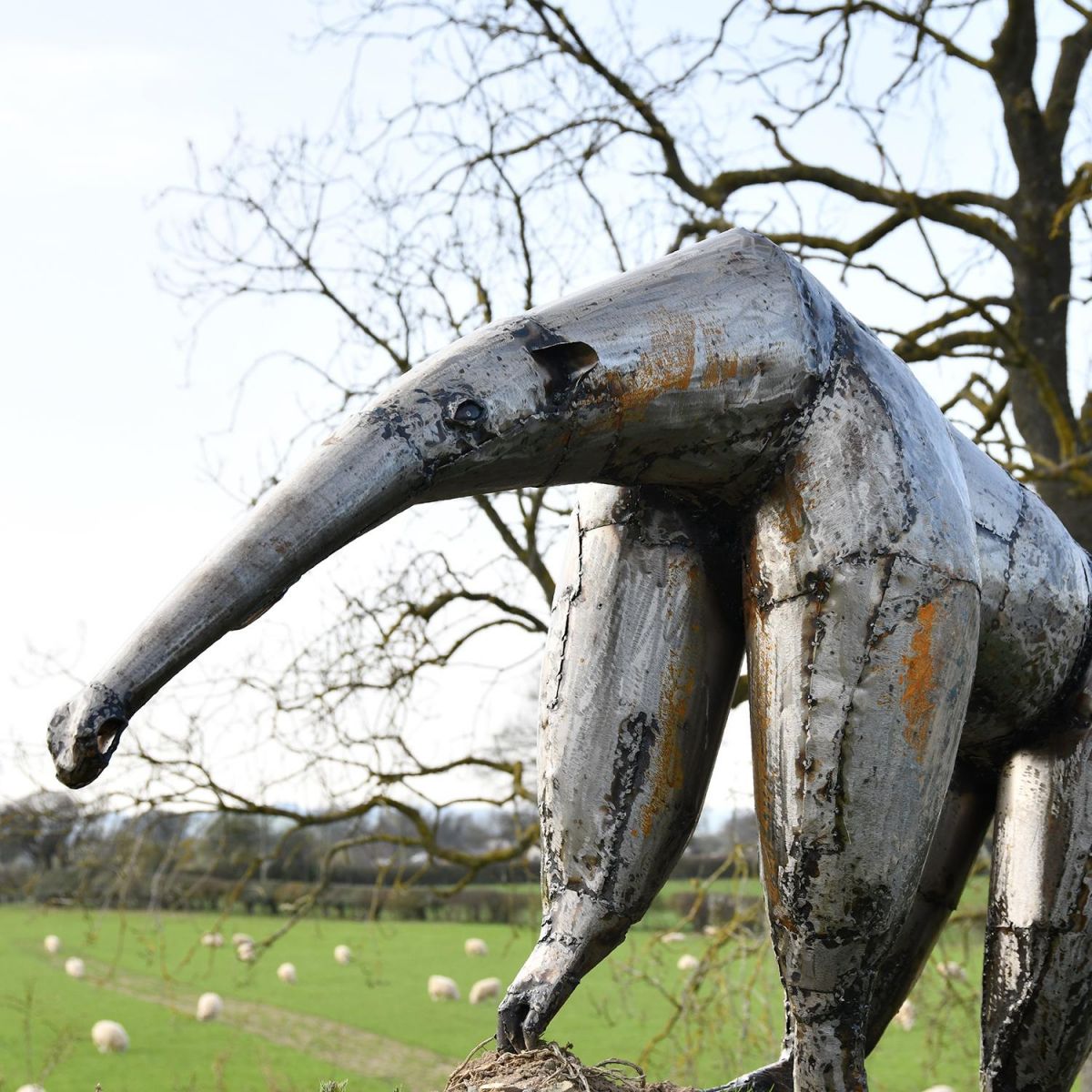 Recycled Steel Anteater Sculpture in Use in the Garden
