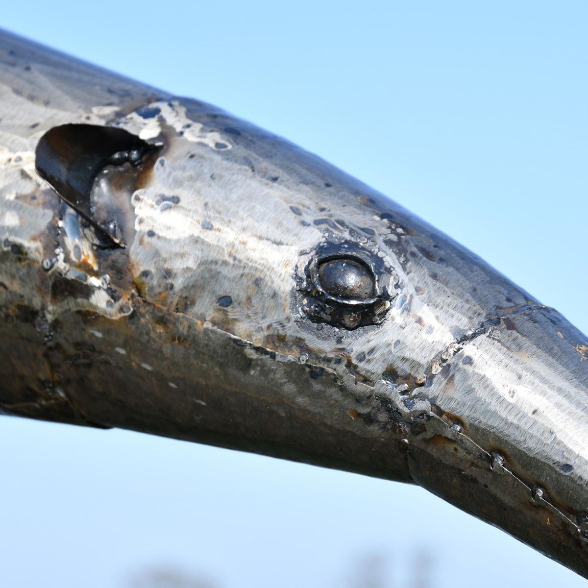 Close-up of the Face of the Recycled Steel Anteater Sculpture