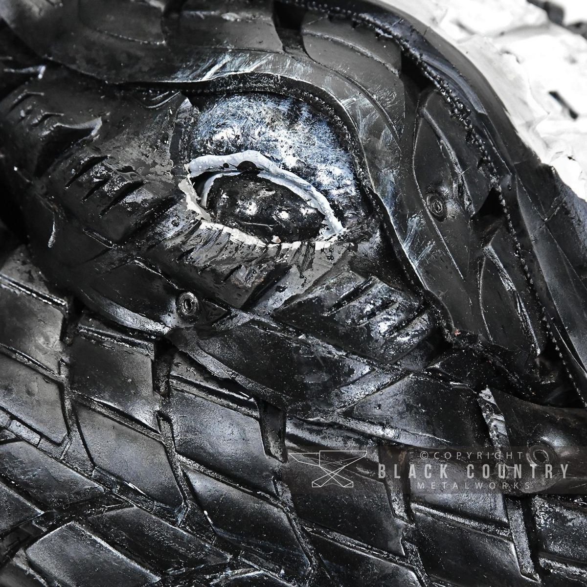 Close-up of the Eye of the Horse