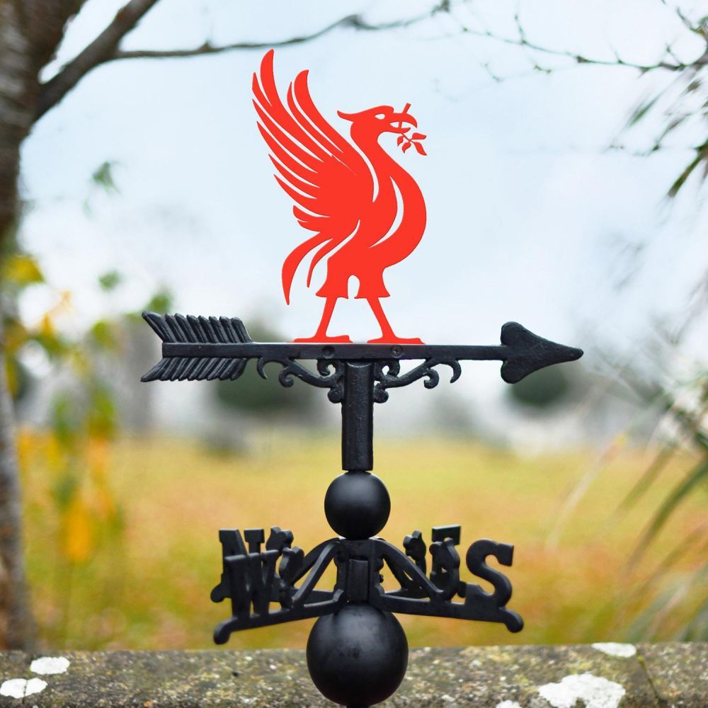 Red Liver Bird Weathervane