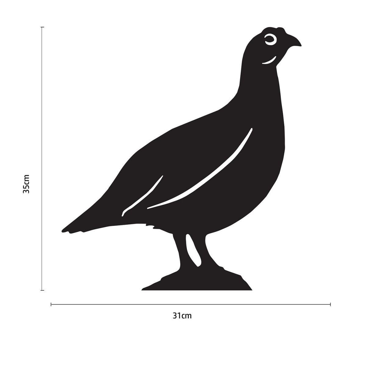 Red Grouse Wall Art Dimensions 