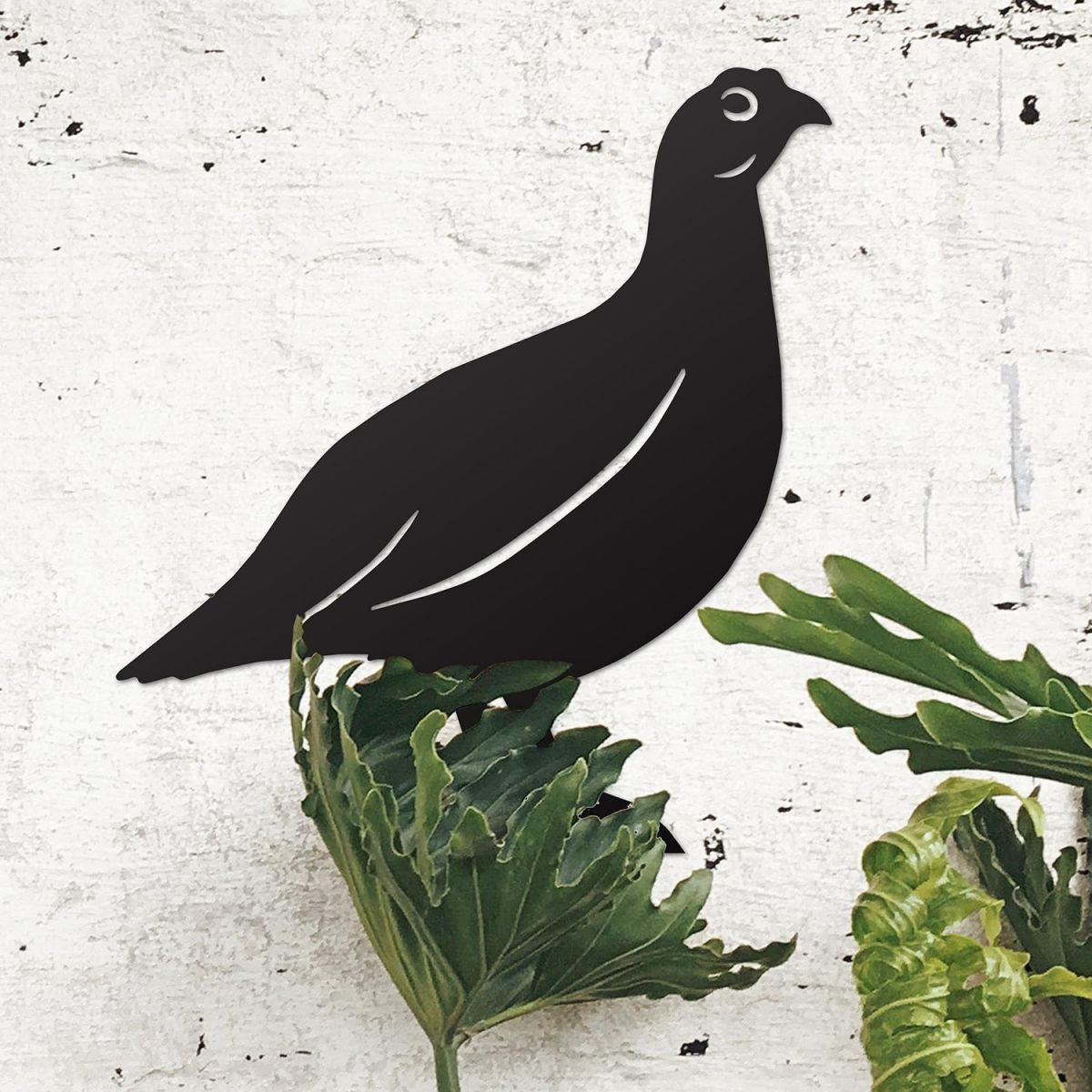 Red Grouse Wall Art on the Wall Next to Plants