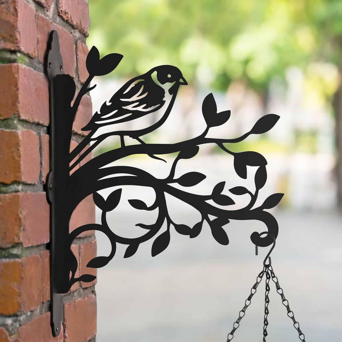 Reed Bunting on Branches Steel Hanging Basket Bracket in Situ