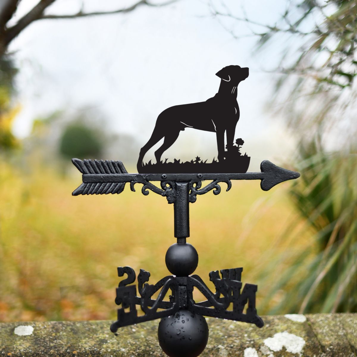 Rhodesian Ridgeback Dog Weathervane Rhodesian Ridgeback Dog Weathervane