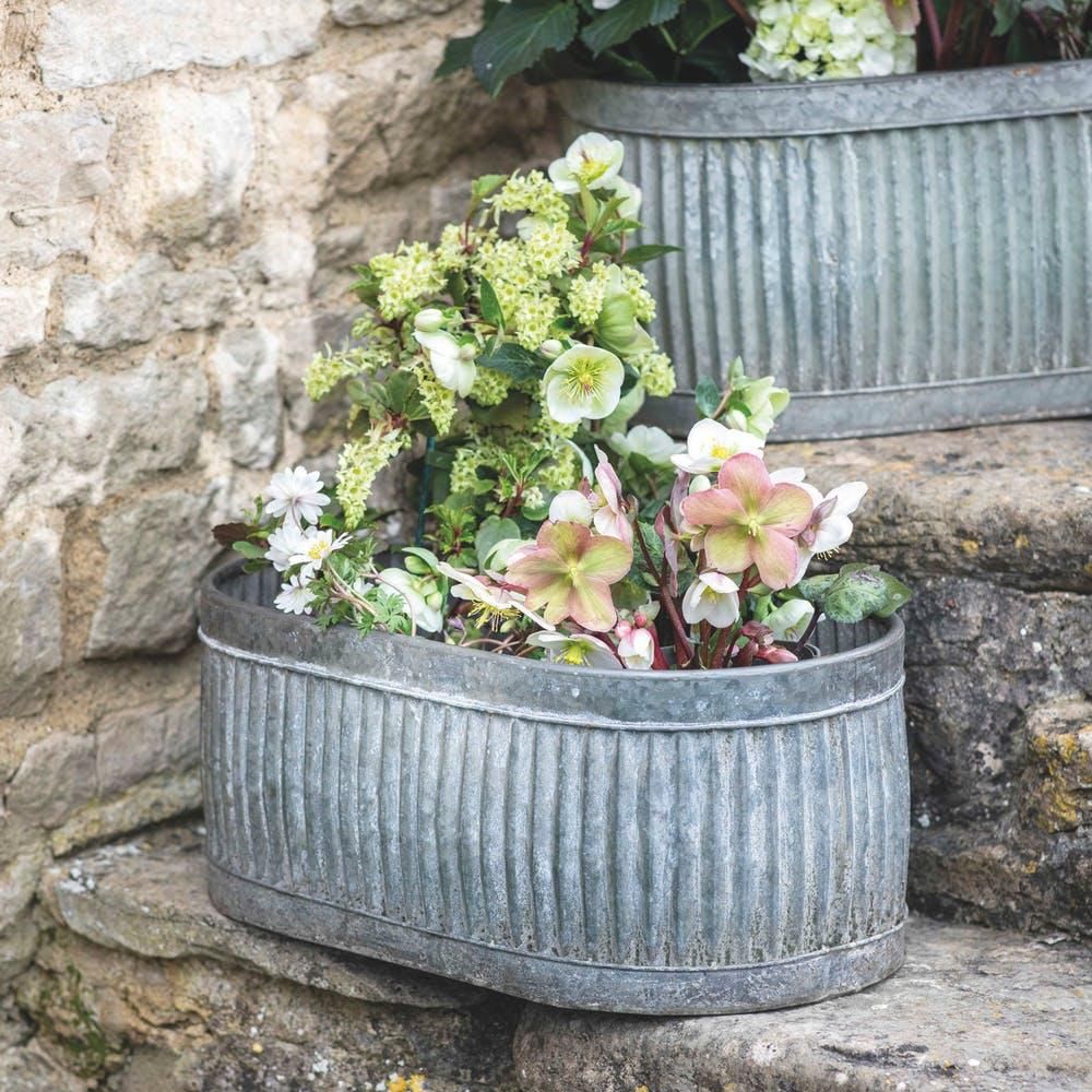 Ribbed Steel Traditional Oval Planter in Situ in the Garden
