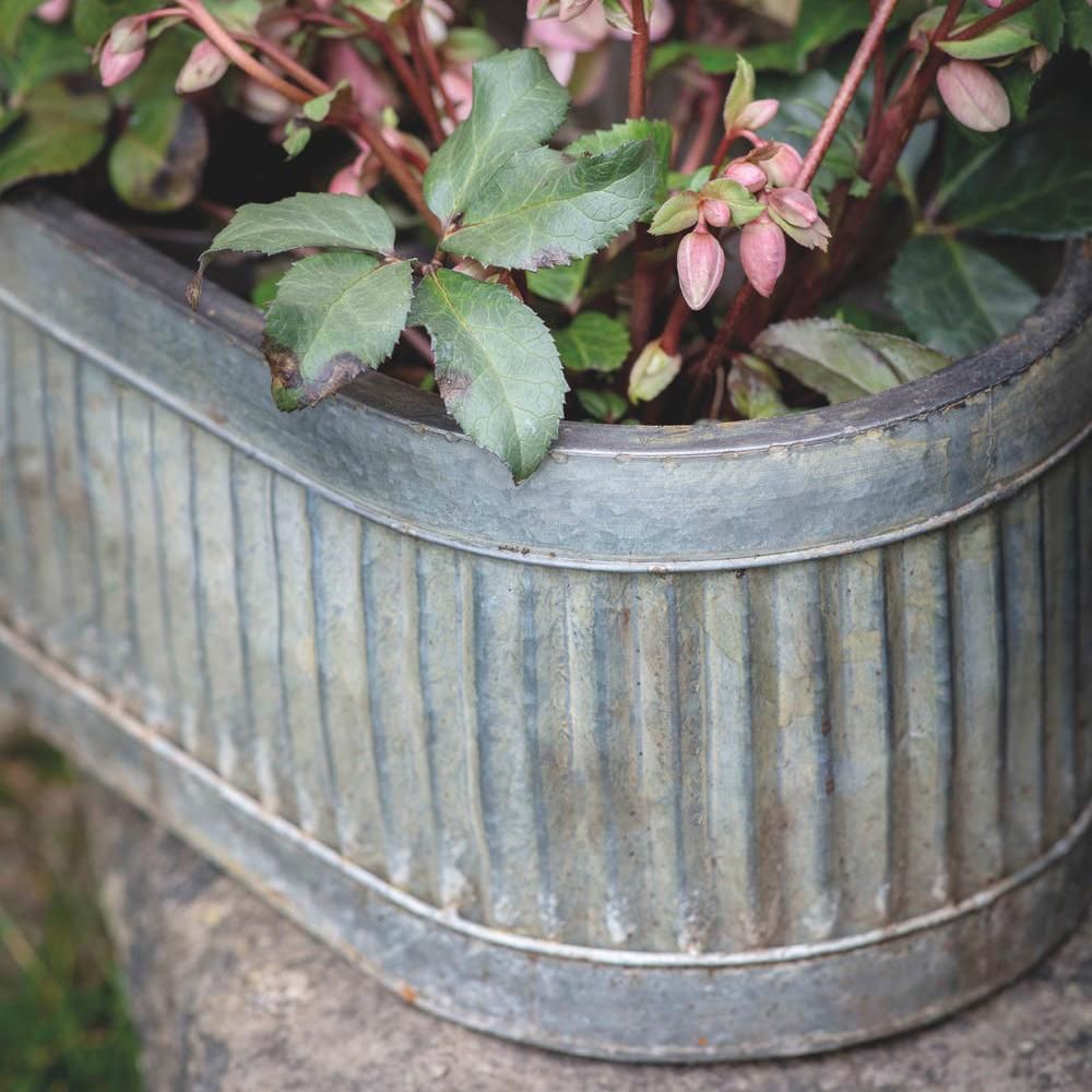 Close-up of the Antique Steel Finish