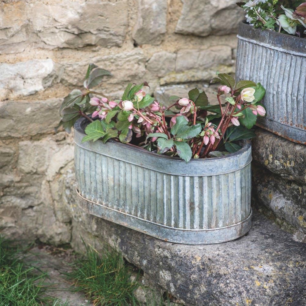 Ribbed Steel Traditional Oval Planter in Use Outdoors Holding Flowers
