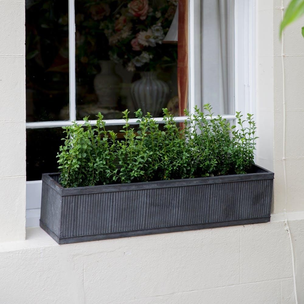 Ribbed Steel Window Trough Planter in Situ by a Window Ribbed Steel Window Trough Planter in Situ by a Window