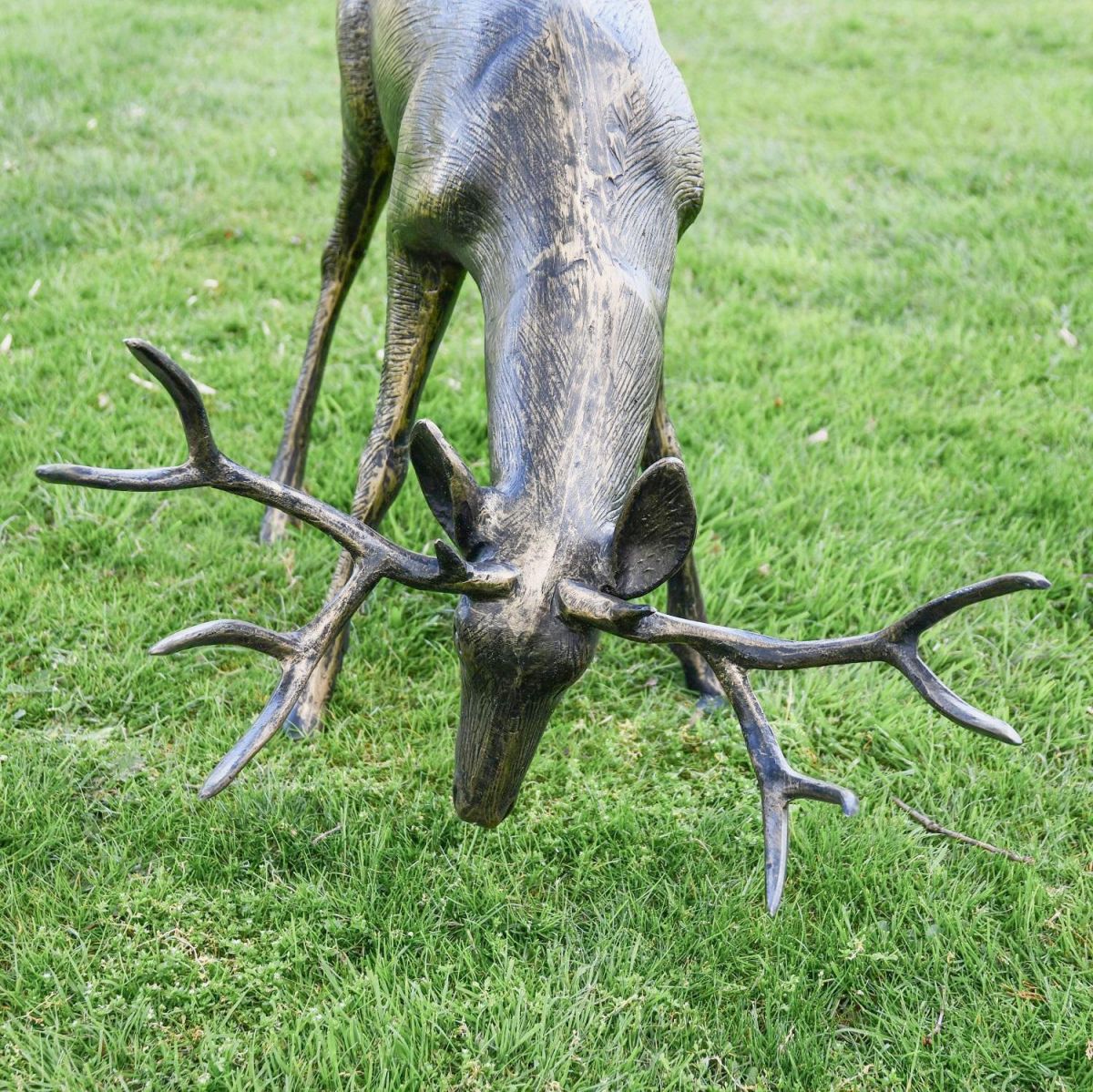 Close up of antlers on "Roe" Grazing Buck Sculpture 