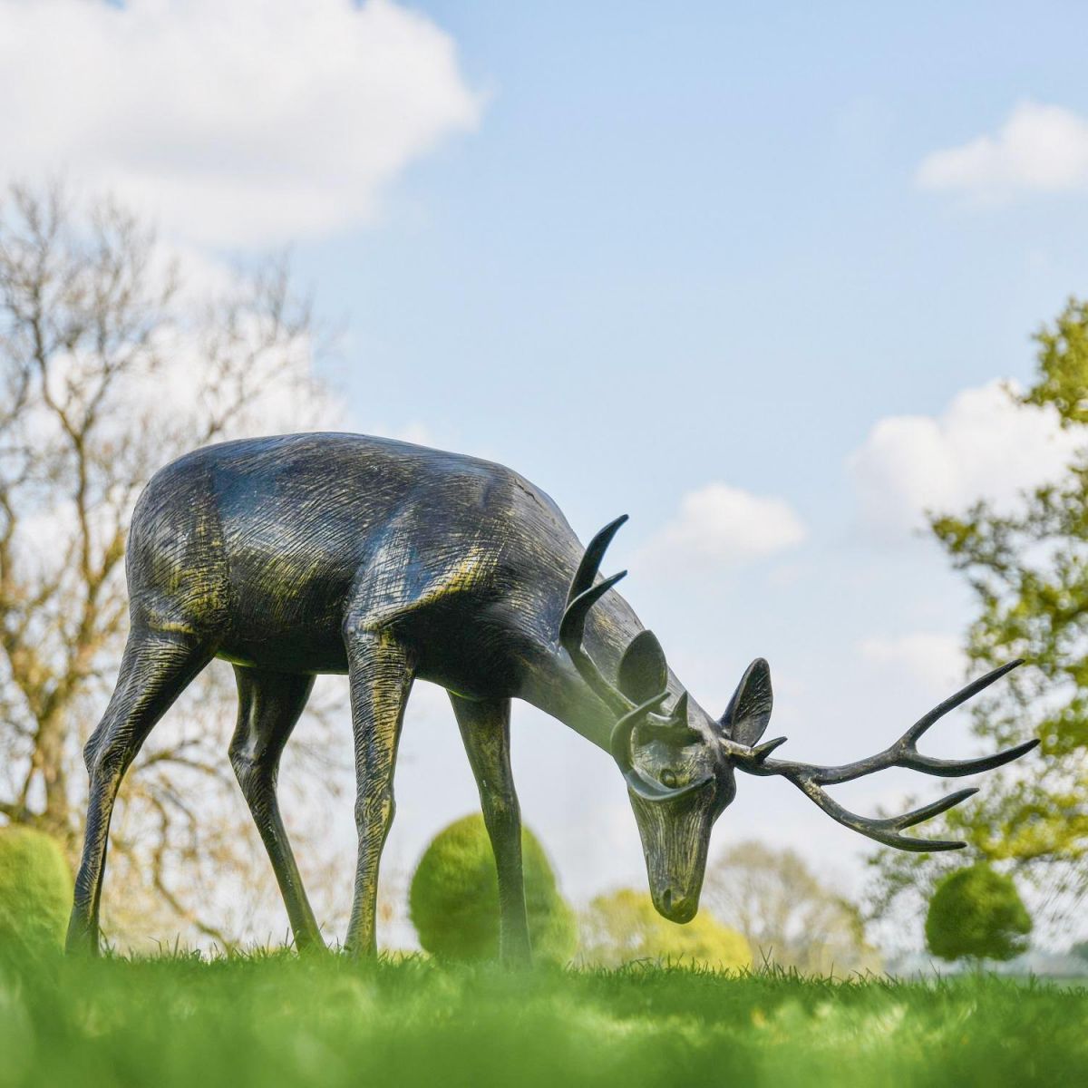 Close up of Grazing Roe Buck Sculpture 