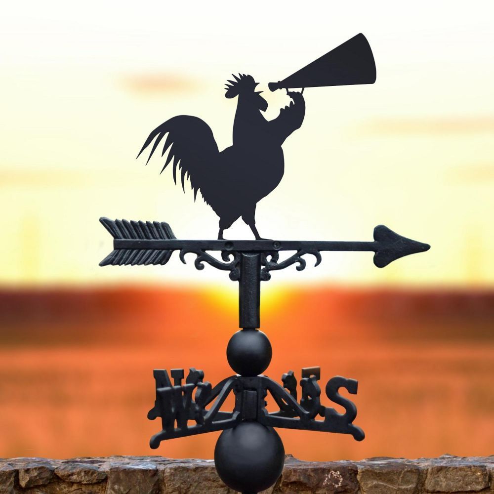 Rooster & Cone Weathervane