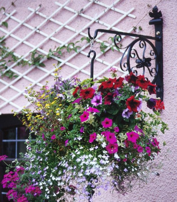 "Rose Wheel" Hanging Basket Bracket