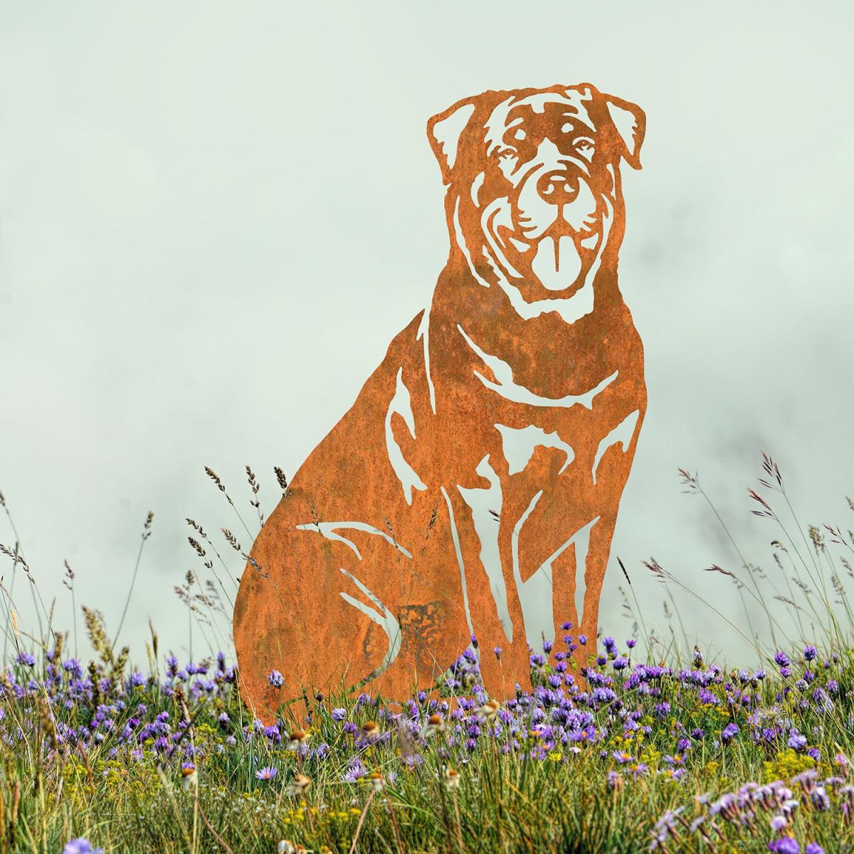 Rottweiler Silhouette in Situ