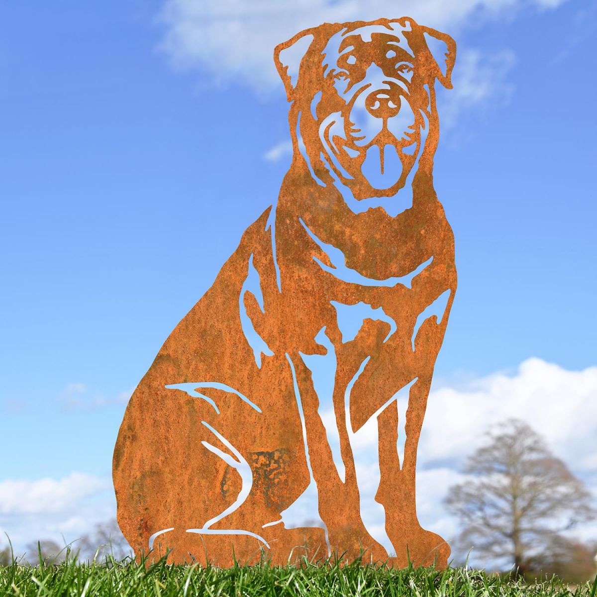 Rottweiler Silhouette on Display Outside 