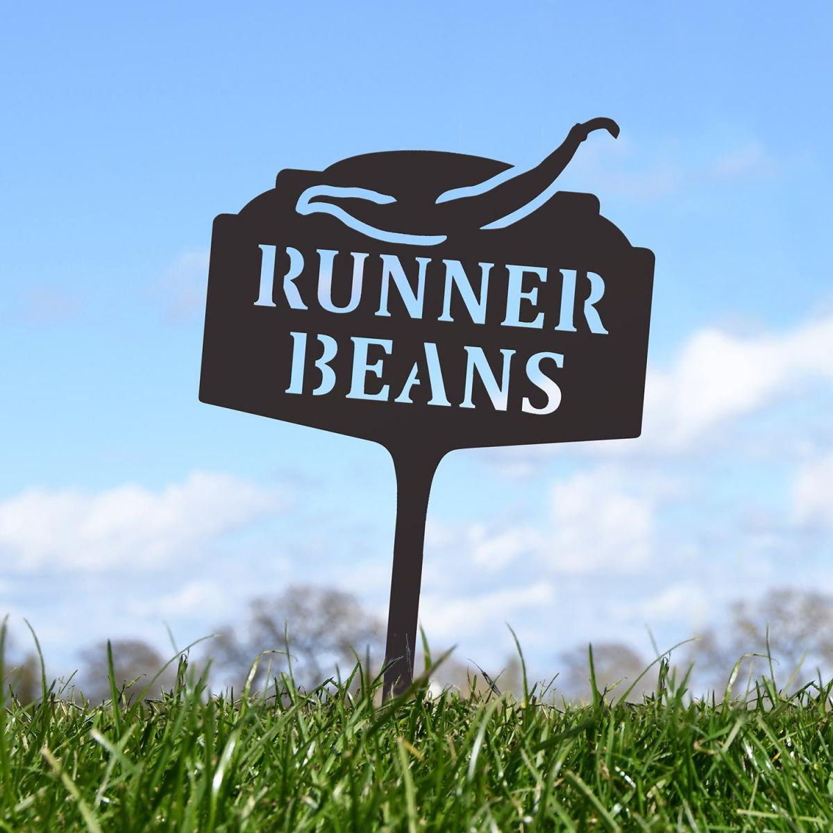"Runner Beans" Vegetable Label in Situ