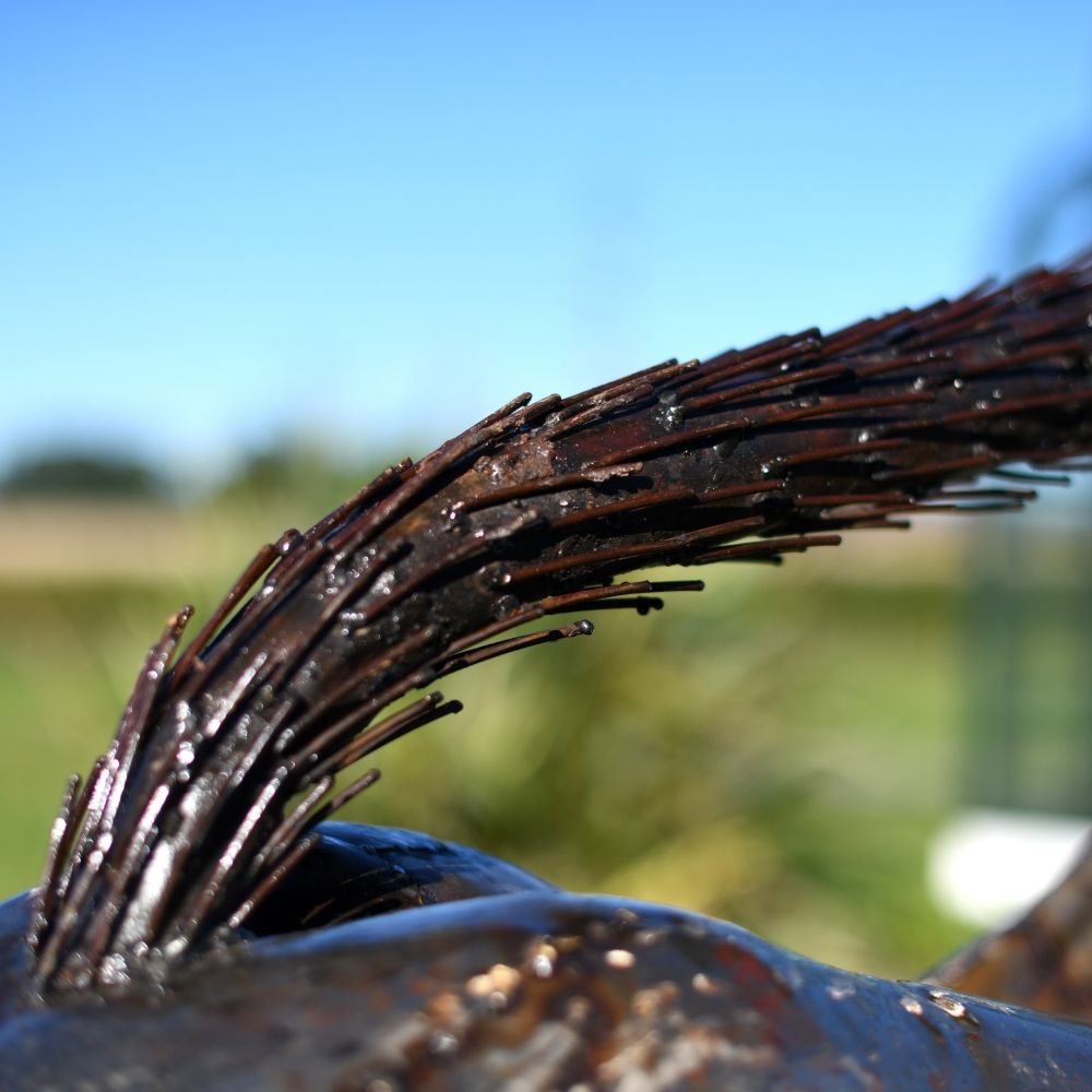 Detail On The Cheetah;"s Tail